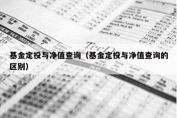 基金定投与净值查询（基金定投与净值查询的区别）