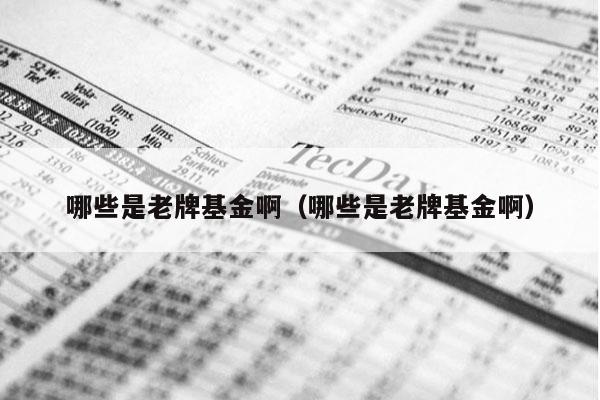 哪些是老牌基金啊（哪些是老牌基金啊）