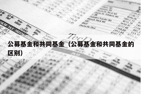 公募基金和共同基金（公募基金和共同基金的区别）