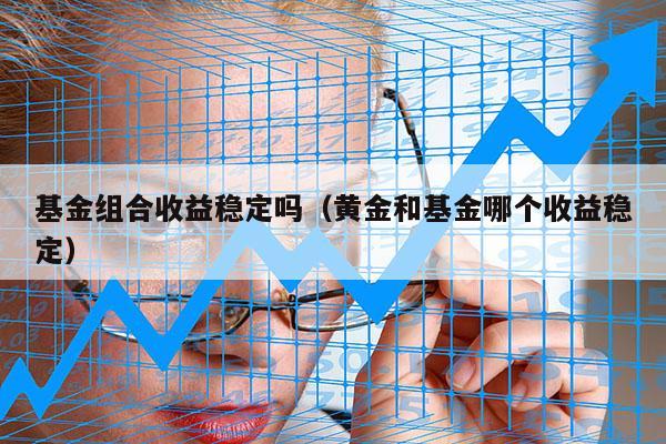 基金组合收益稳定吗（黄金和基金哪个收益稳定）