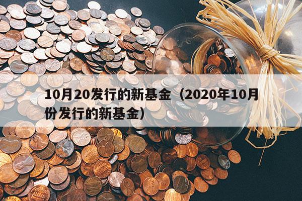 10月20发行的新基金（2020年10月份发行的新基金）