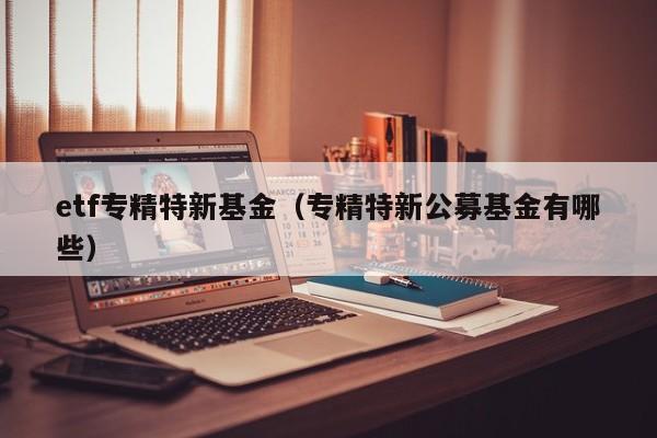 etf专精特新基金（专精特新公募基金有哪些）