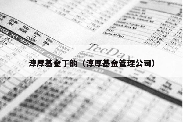 淳厚基金丁韵（淳厚基金管理公司）