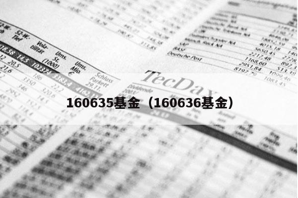 160635基金（160636基金）