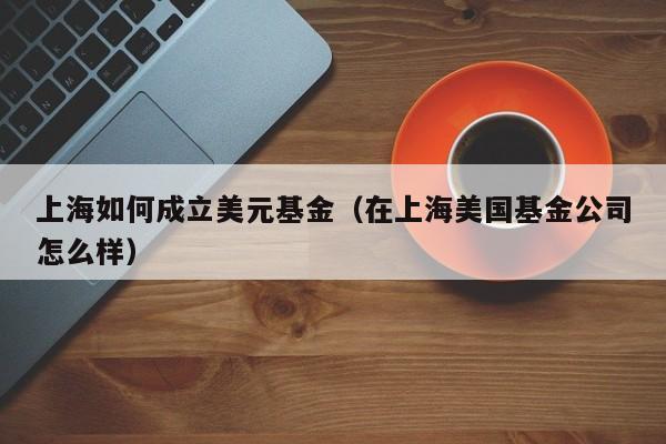 上海如何成立美元基金（在上海美国基金公司怎么样）