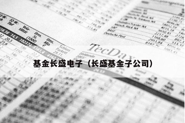 基金长盛电子（长盛基金子公司）