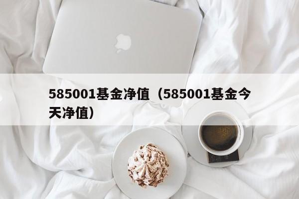585001基金净值（585001基金今天净值）