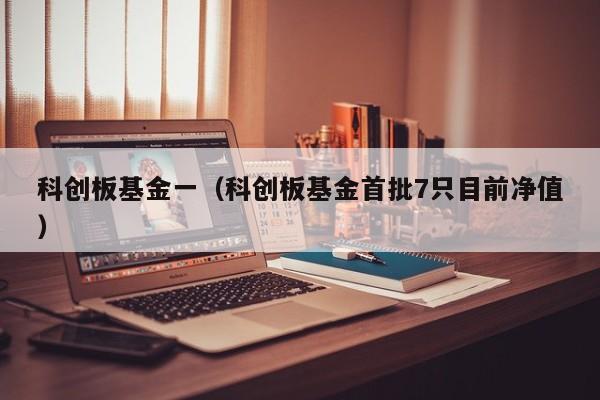 科创板基金一（科创板基金首批7只目前净值）