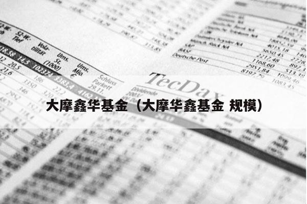 大摩鑫华基金（大摩华鑫基金 规模）