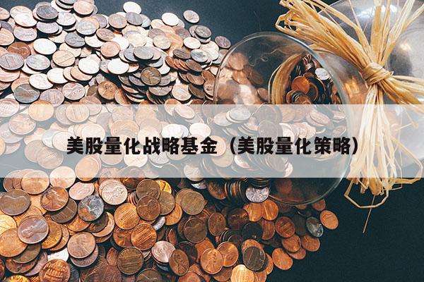 美股量化战略基金（美股量化策略）