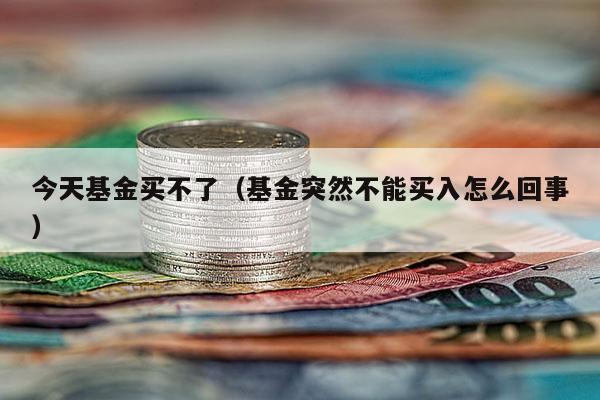 今天基金买不了（基金突然不能买入怎么回事）
