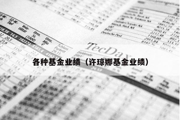 各种基金业绩（许琼娜基金业绩）