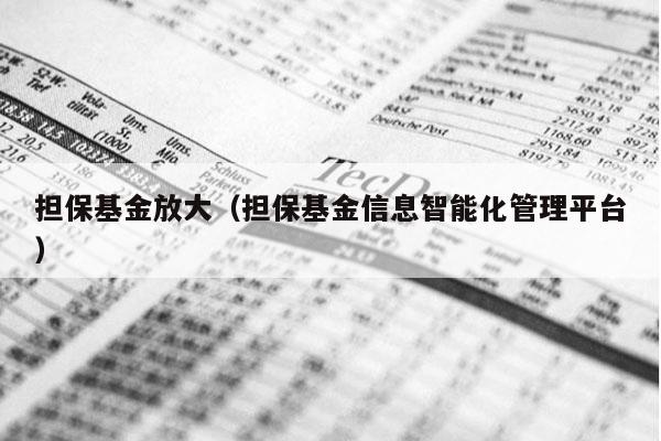 担保基金放大（担保基金信息智能化管理平台）