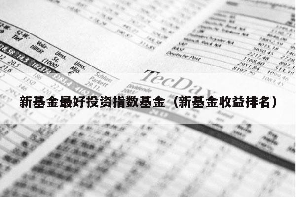 新基金最好投资指数基金（新基金收益排名）