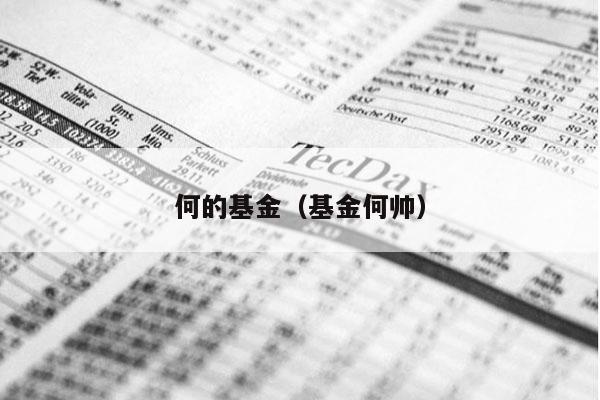 何的基金（基金何帅）