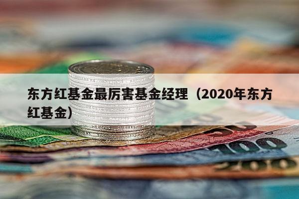 东方红基金最厉害基金经理（2020年东方红基金）