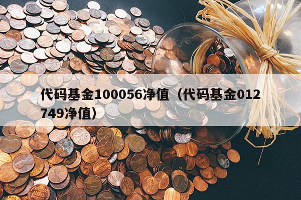 代码基金100056净值（代码基金012749净值）