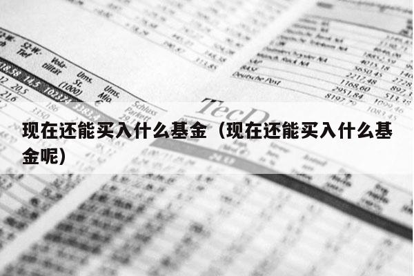现在还能买入什么基金（现在还能买入什么基金呢）