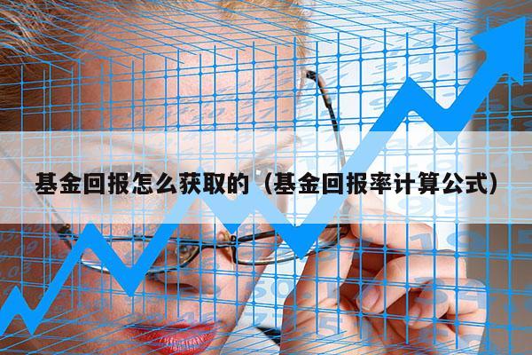 基金回报怎么获取的（基金回报率计算公式）
