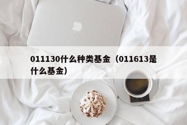 011130什么种类基金（011613是什么基金）