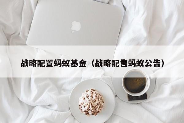 战略配置蚂蚁基金（战略配售蚂蚁公告）