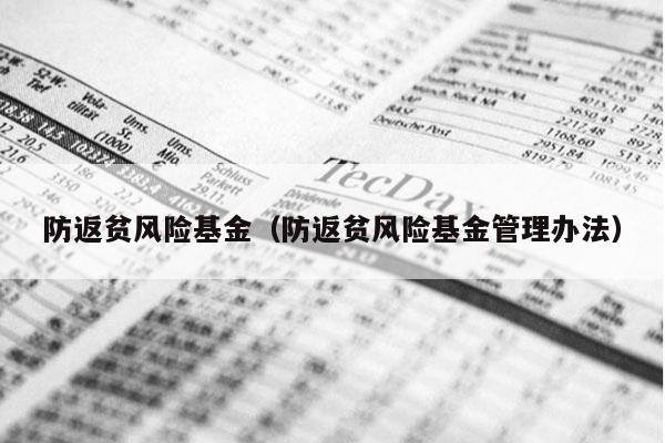 防返贫风险基金（防返贫风险基金管理办法）