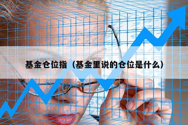 基金仓位指（基金里说的仓位是什么）
