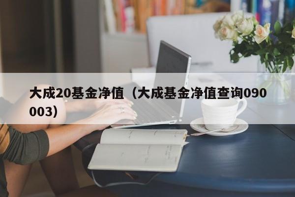 大成20基金净值（大成基金净值查询090003）