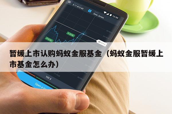 暂缓上市认购蚂蚁金服基金（蚂蚁金服暂缓上市基金怎么办）