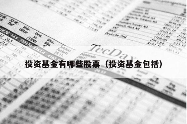 投资基金有哪些股票（投资基金包括）