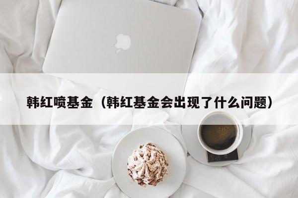 韩红喷基金（韩红基金会出现了什么问题）