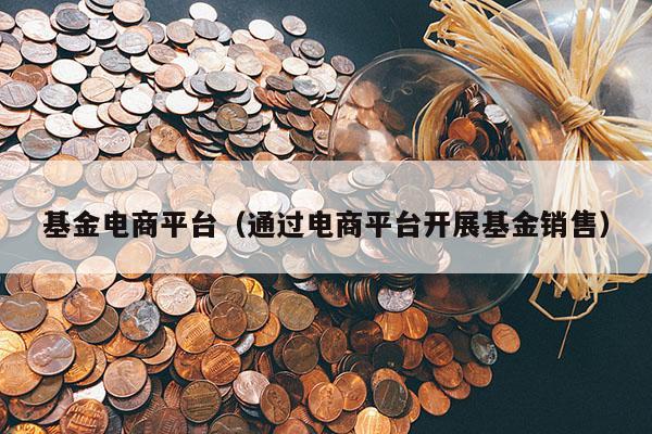 基金电商平台（通过电商平台开展基金销售）