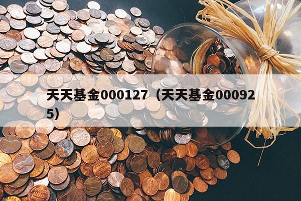 天天基金000127（天天基金000925）
