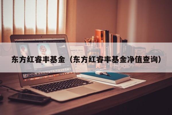 东方红睿丰基金（东方红睿丰基金净值查询）