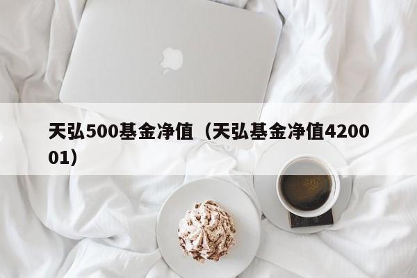 天弘500基金净值（天弘基金净值420001）