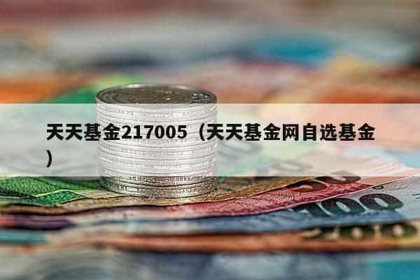 天天基金217005（天天基金网自选基金）