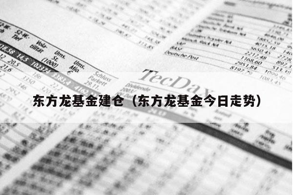 东方龙基金建仓（东方龙基金今日走势）