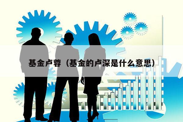 基金卢蓉（基金的卢深是什么意思）