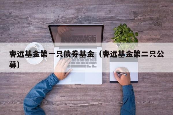 睿远基金第一只债券基金（睿远基金第二只公募）