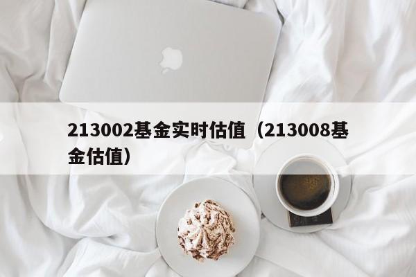 213002基金实时估值（213008基金估值）
