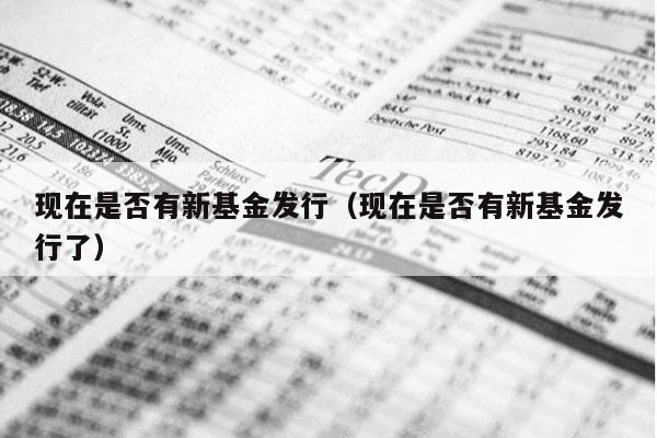 现在是否有新基金发行（现在是否有新基金发行了）