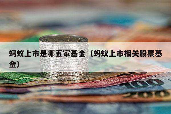 蚂蚁上市是哪五家基金（蚂蚁上市相关股票基金）