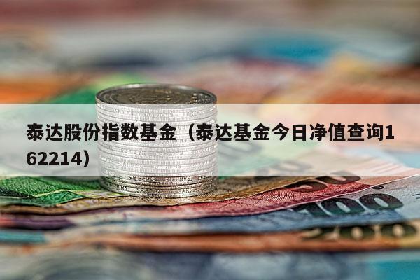 泰达股份指数基金（泰达基金今日净值查询162214）