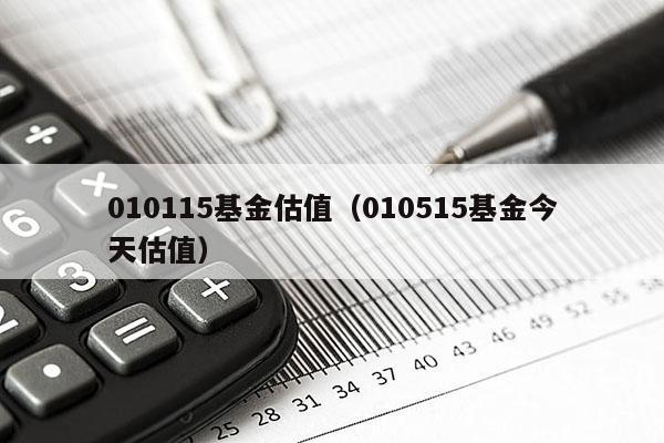 010115基金估值（010515基金今天估值）