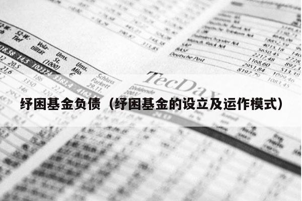 纾困基金负债（纾困基金的设立及运作模式）