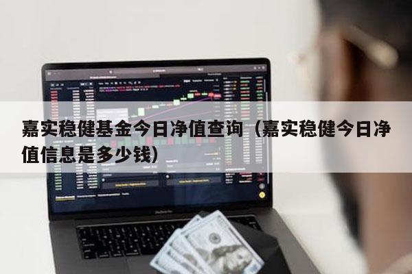 嘉实稳健基金今日净值查询（嘉实稳健今日净值信息是多少钱）