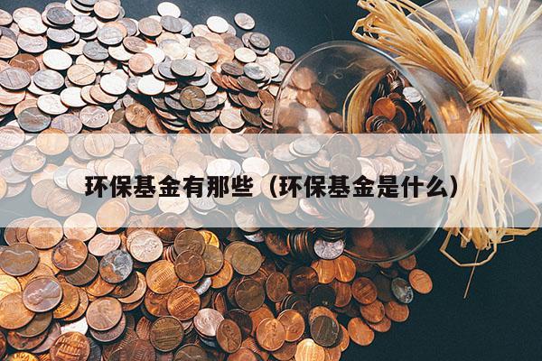 环保基金有那些（环保基金是什么）