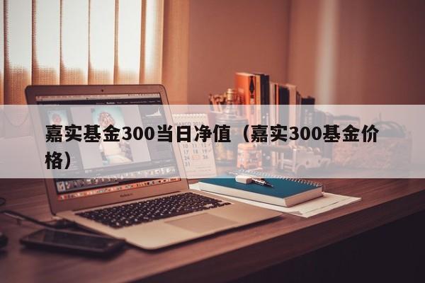 嘉实基金300当日净值（嘉实300基金价格）