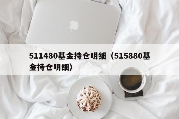 511480基金持仓明细（515880基金持仓明细）