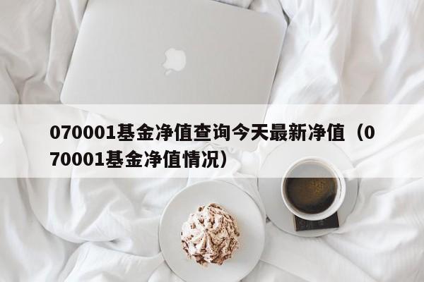 070001基金净值查询今天最新净值（070001基金净值情况）